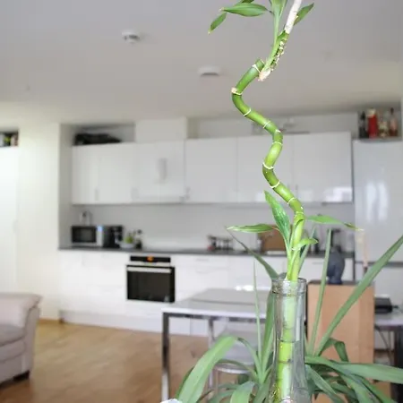 Apartment Central, New, 2 Bed Rooms, Fully Furnished *